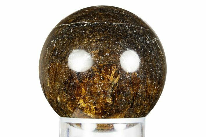 Golden Amphibolite Sphere - Western Australia #309147